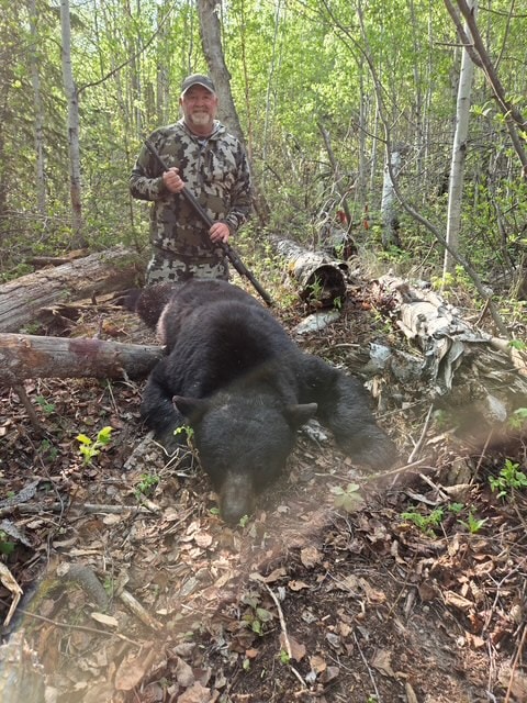 Hunter with harvested black bear in Saskatchewan forest