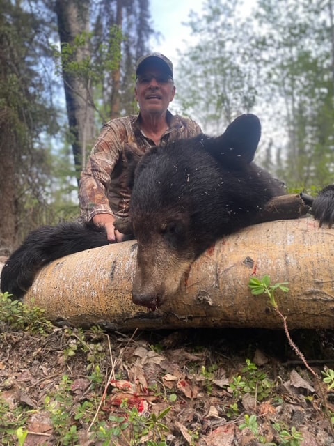 Hunter posing with harvested black bear on log in Saskatchewan forest