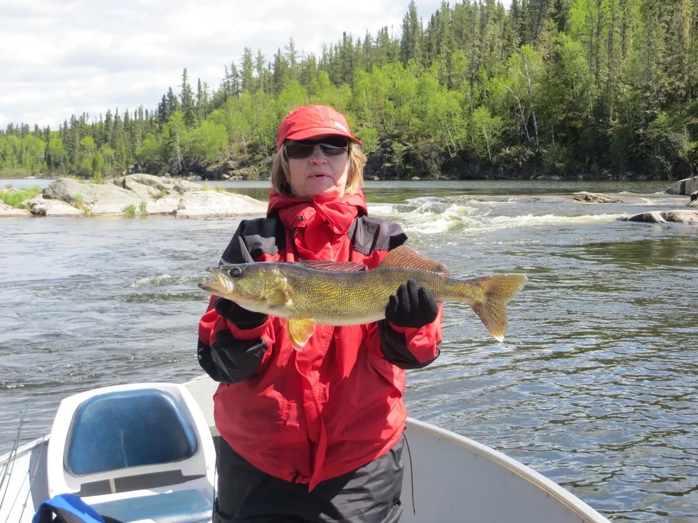 Woman in red holding a Walleye at the rapids, beautiful wilderness scenery