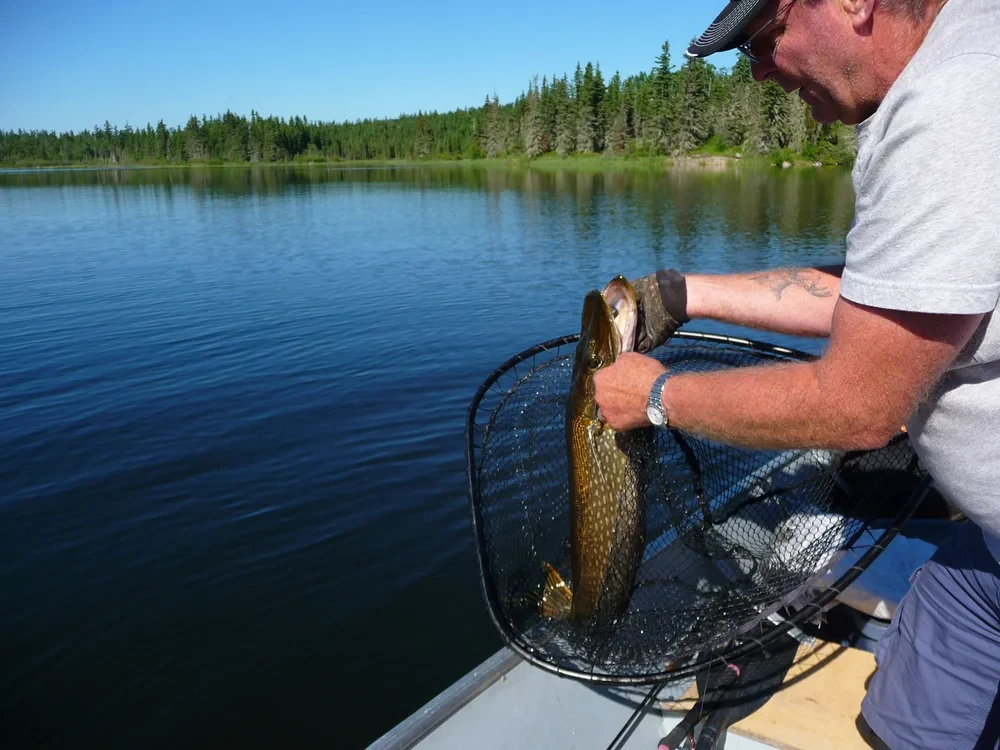 Fishing photo 118