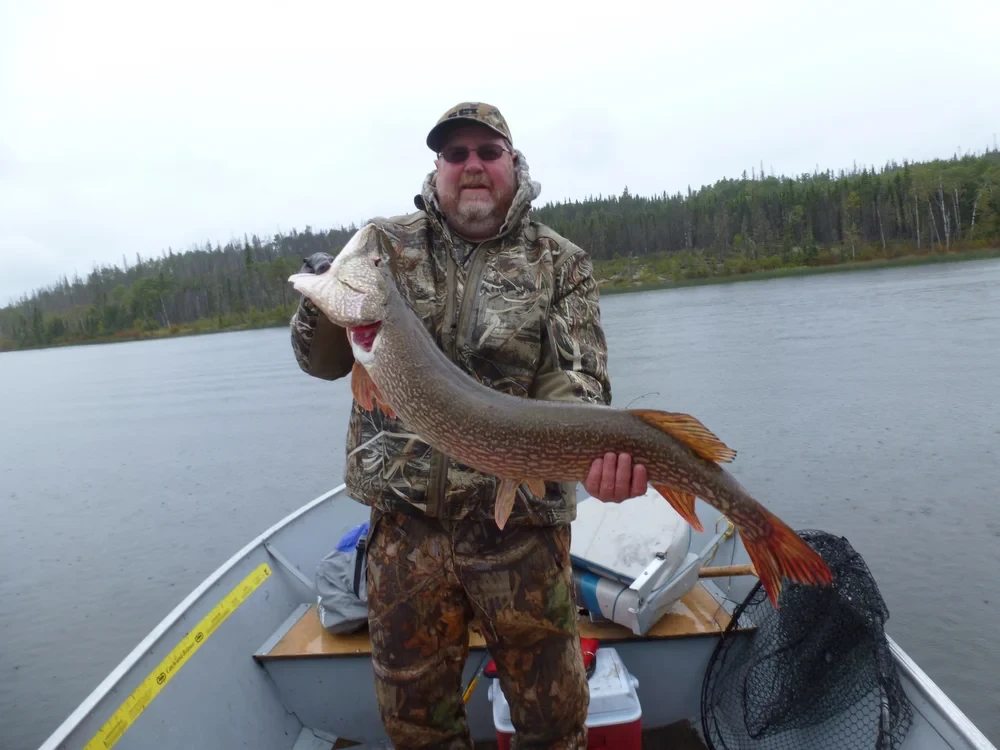 Man in camo hat holding a massive Northern Pike, fall foliage behind him