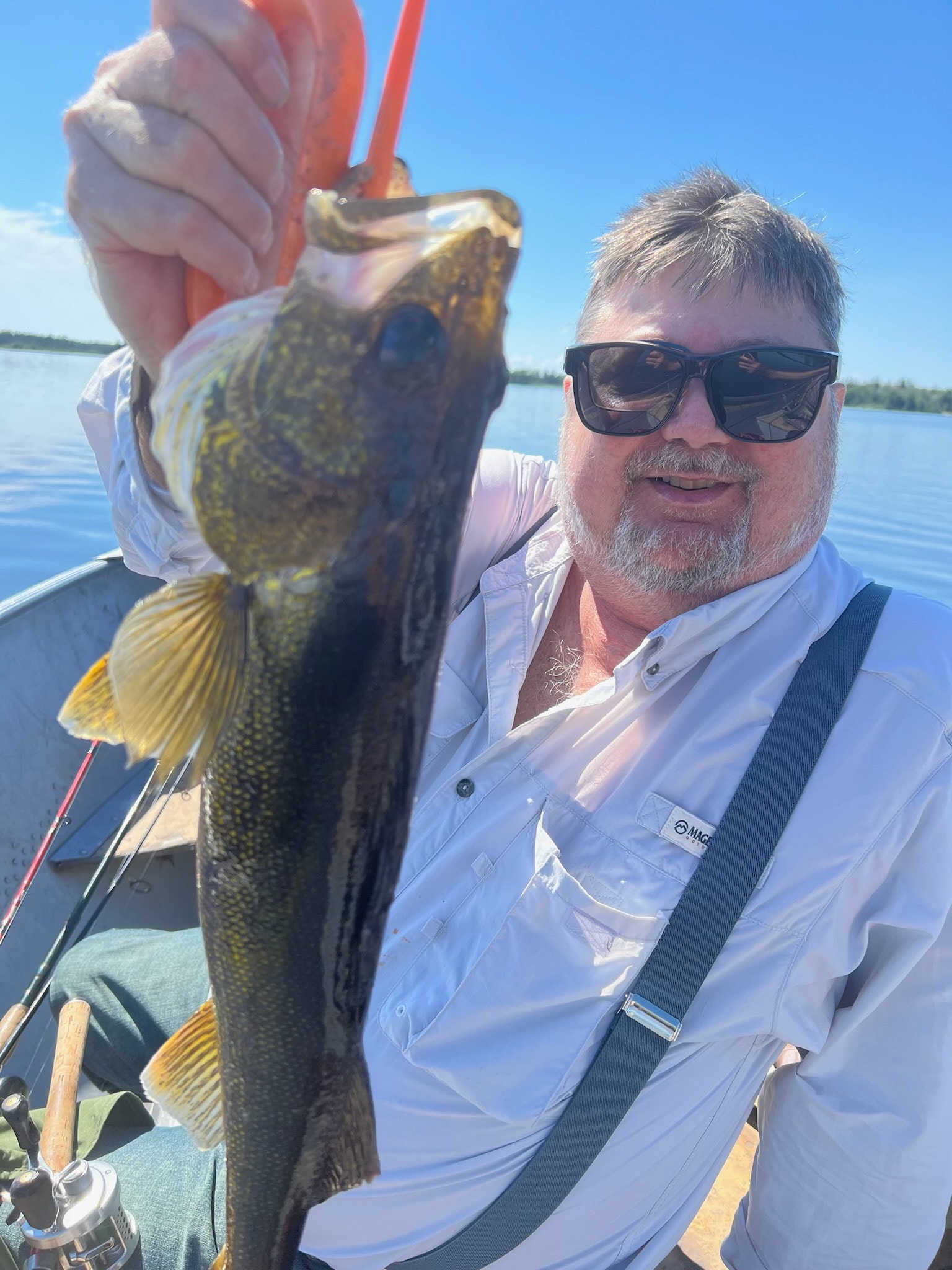 Man with sunglasses holding a walleye on a sunny lake