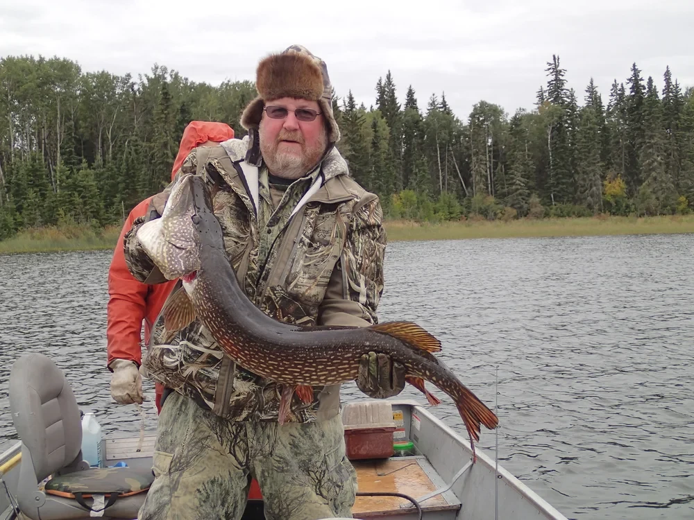 Man in camo with guide in orange rain gear holding a large pike, fall day