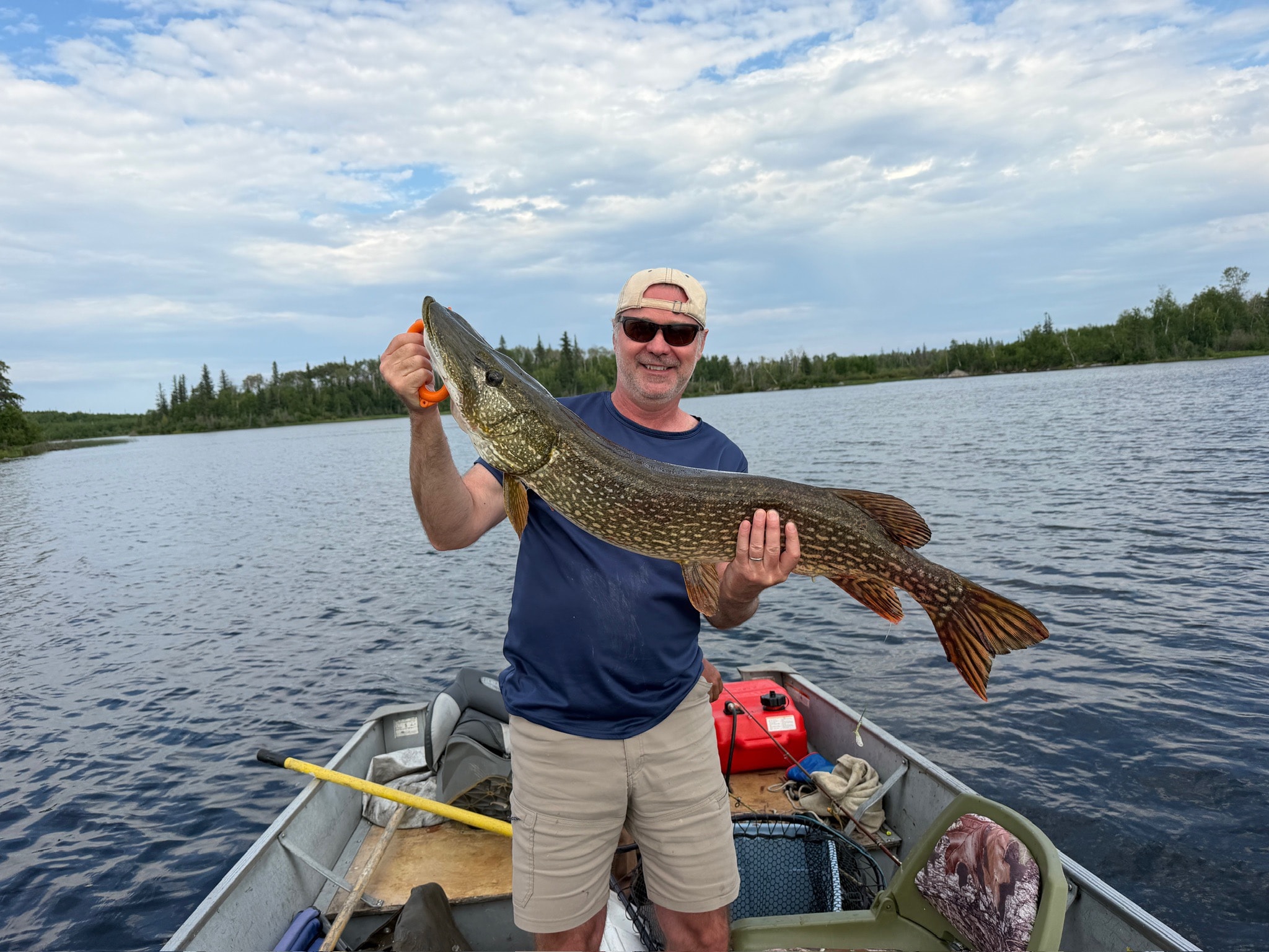 Man in white shirt holding a large Northern Pike in a boat