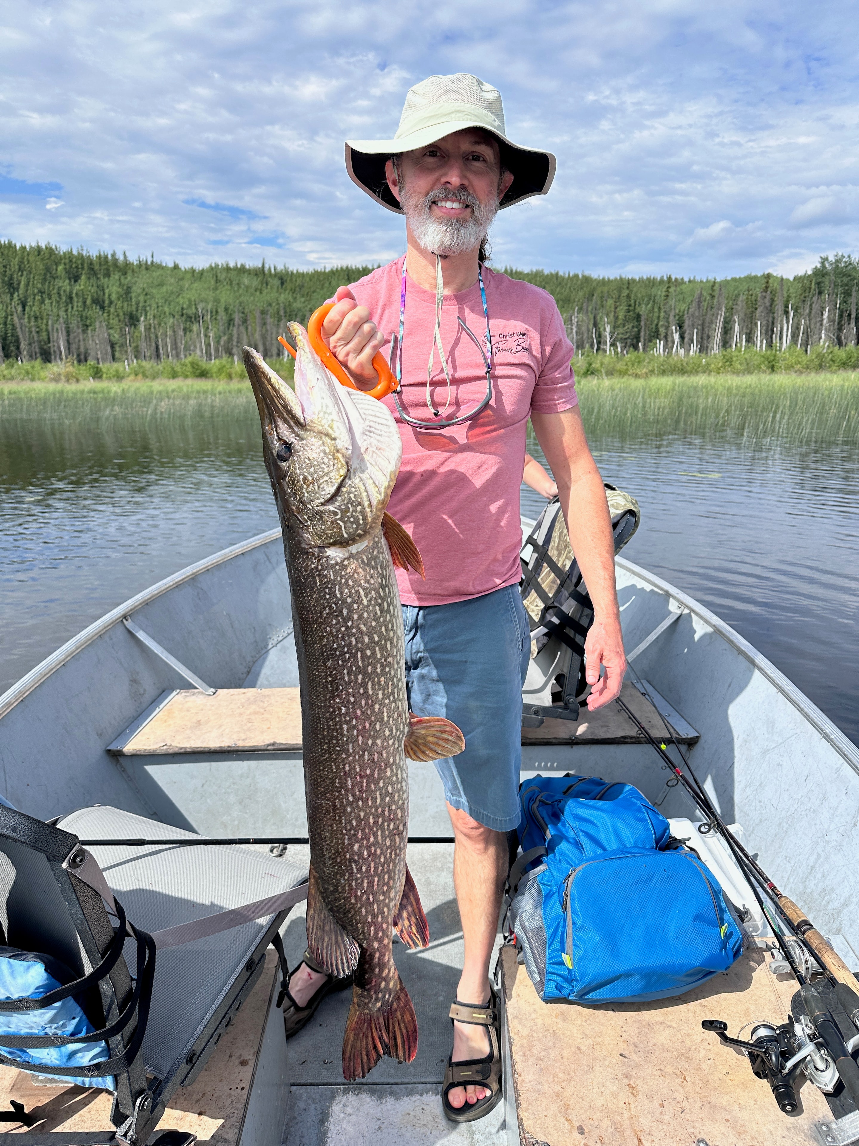 Man in pink shirt holding a tall Northern Pike in a boat