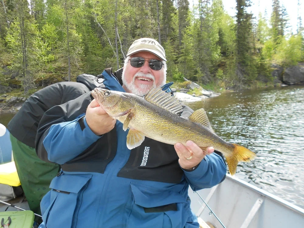Man in blue jacket holding a nice Walleye, rocky shoreline and forest