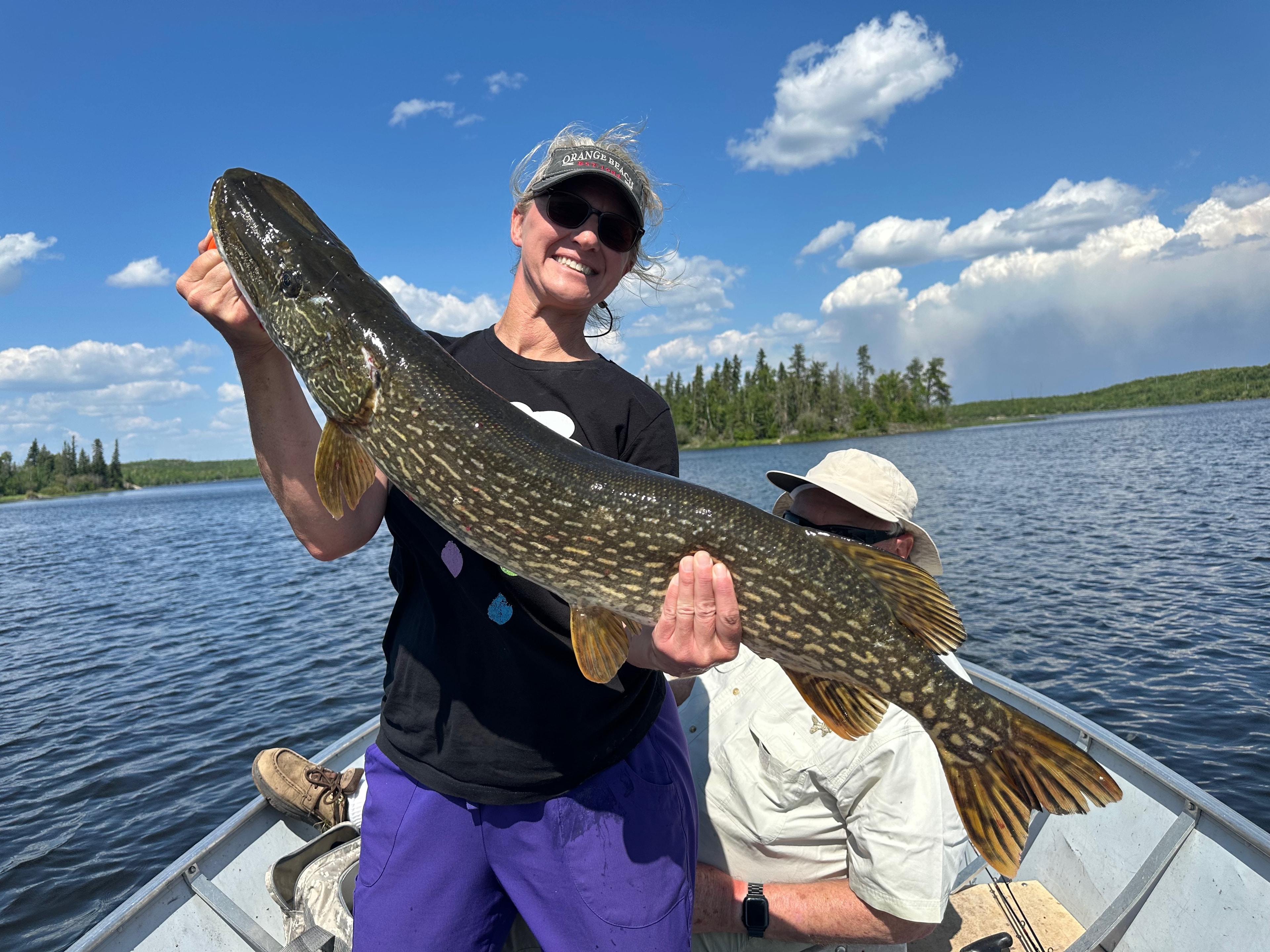 Woman holding a large Northern Pike horizontally in a boat on a sunny lake, boreal forest backdrop