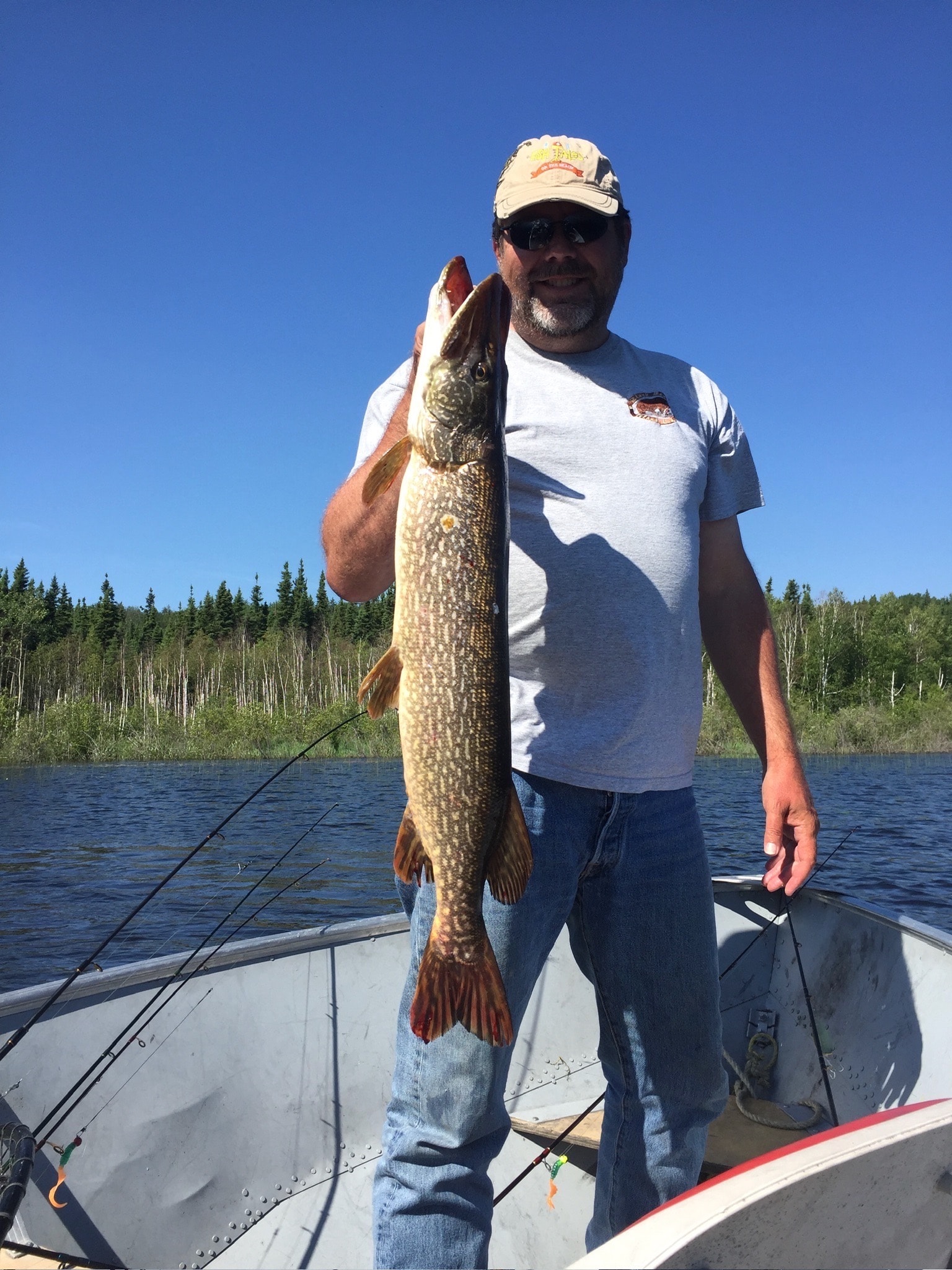 Man in white t-shirt and cap holding a large Northern Pike upright in a boat on a sunny lake