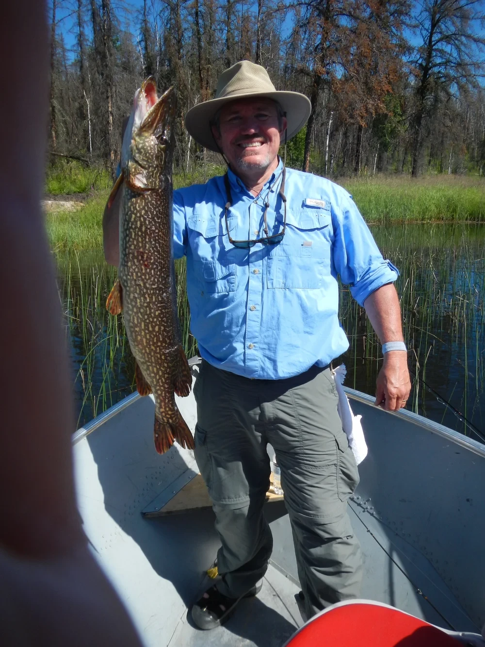 Man holding a large pike in a boat, wilderness lake