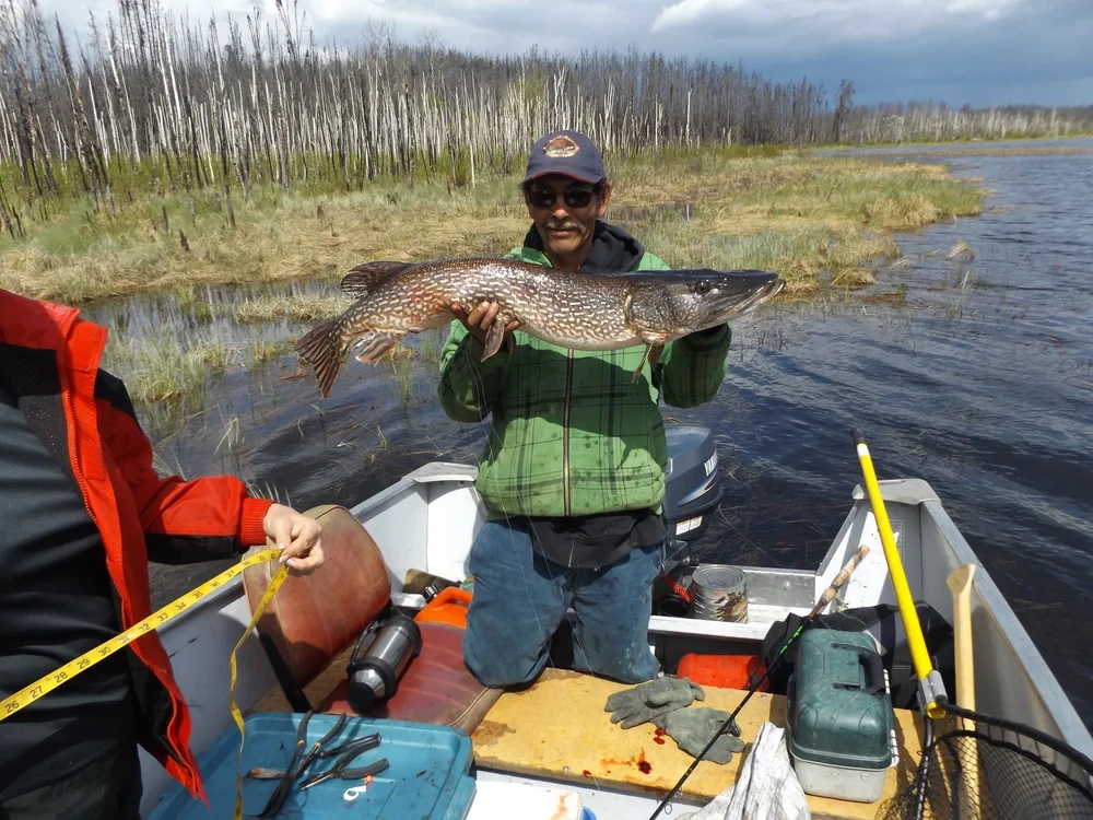 Fishing party with trophy Northern Pike at Black Bear Island Lodge