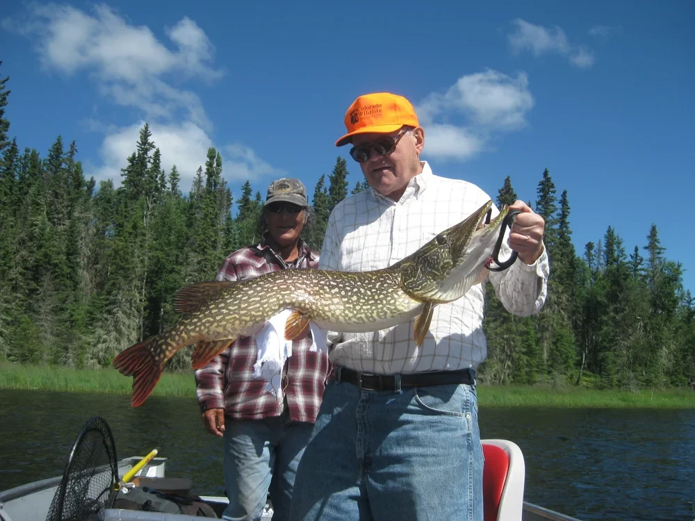 Man holding a trophy pike in a boat, boreal forest behind him