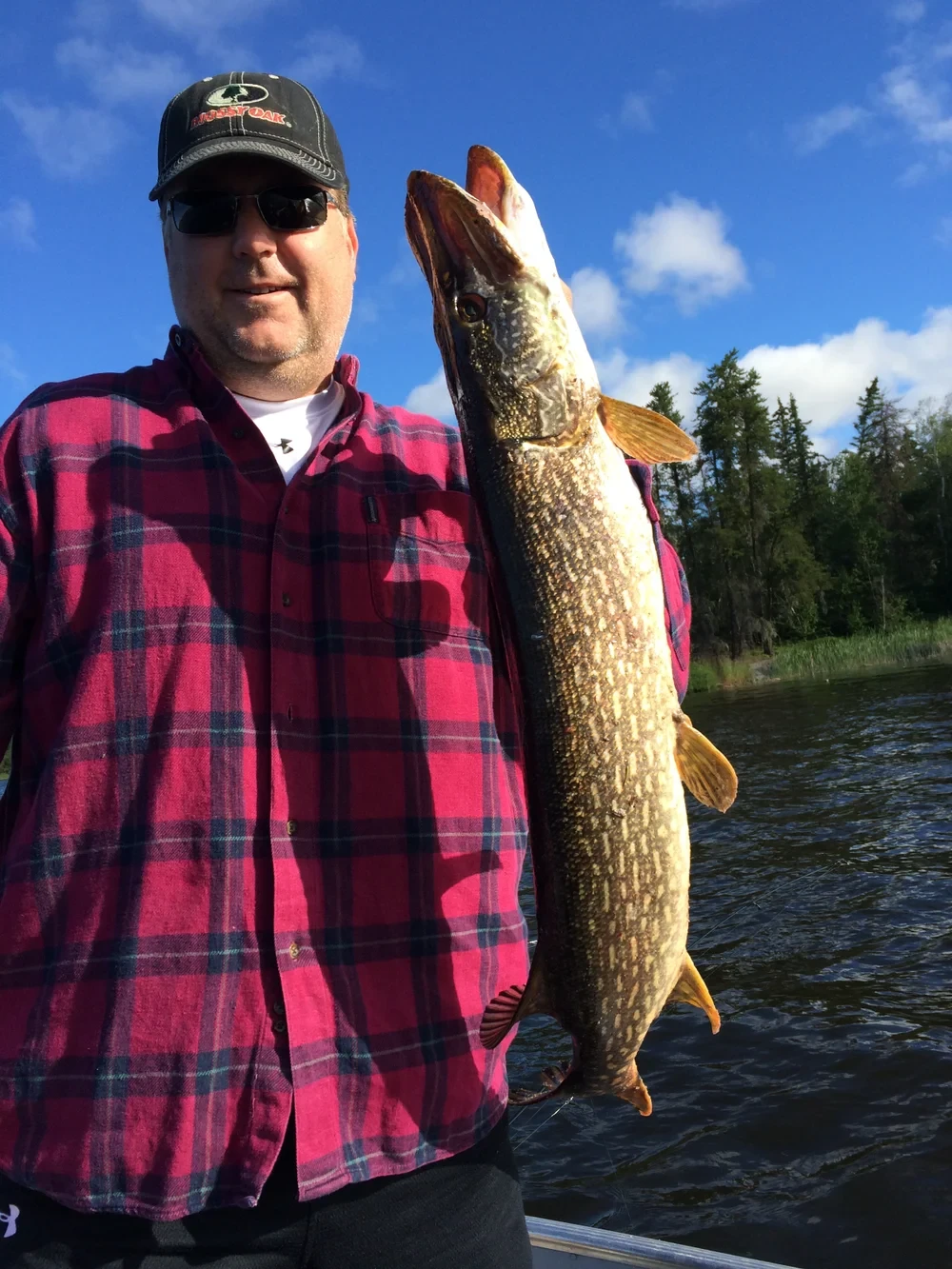 Man holding a trophy pike, blue sky and wilderness lake