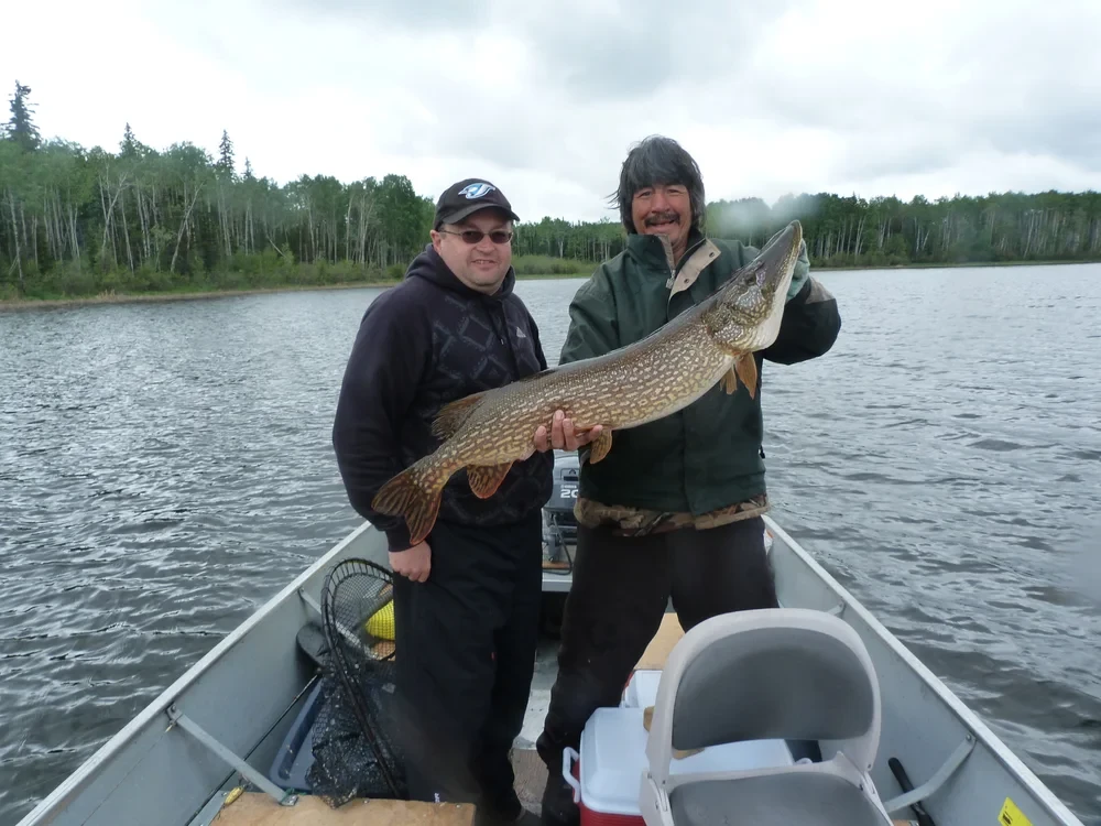 Man holding a large pike in a boat, sunny wilderness day