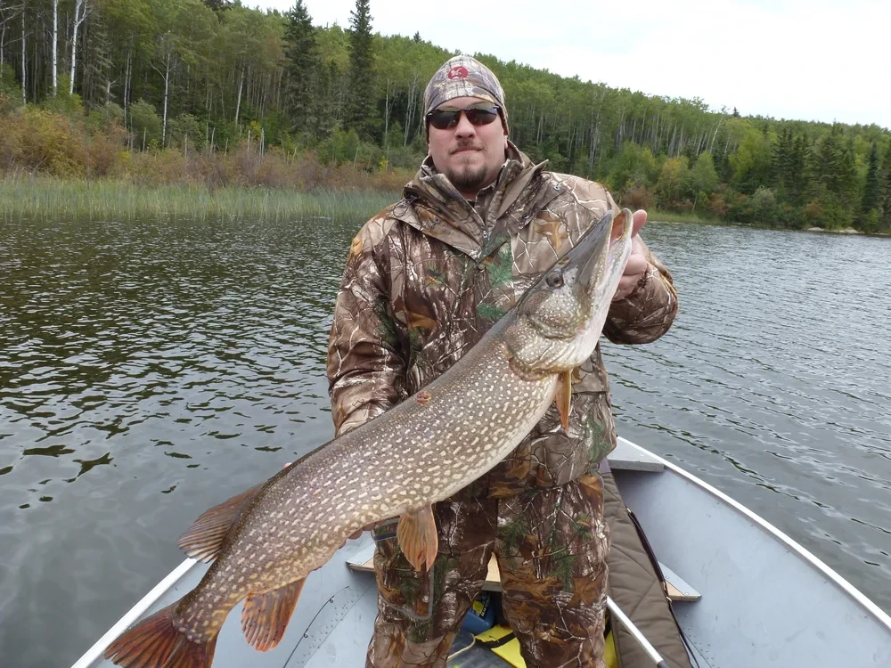 Trophy Northern Pike catch on the Churchill River System