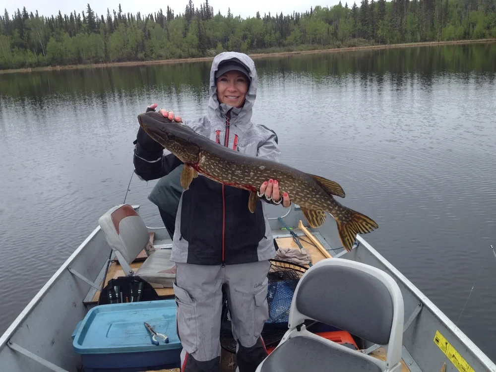 Woman in grey rain gear holding a large Northern Pike, calm lake reflection