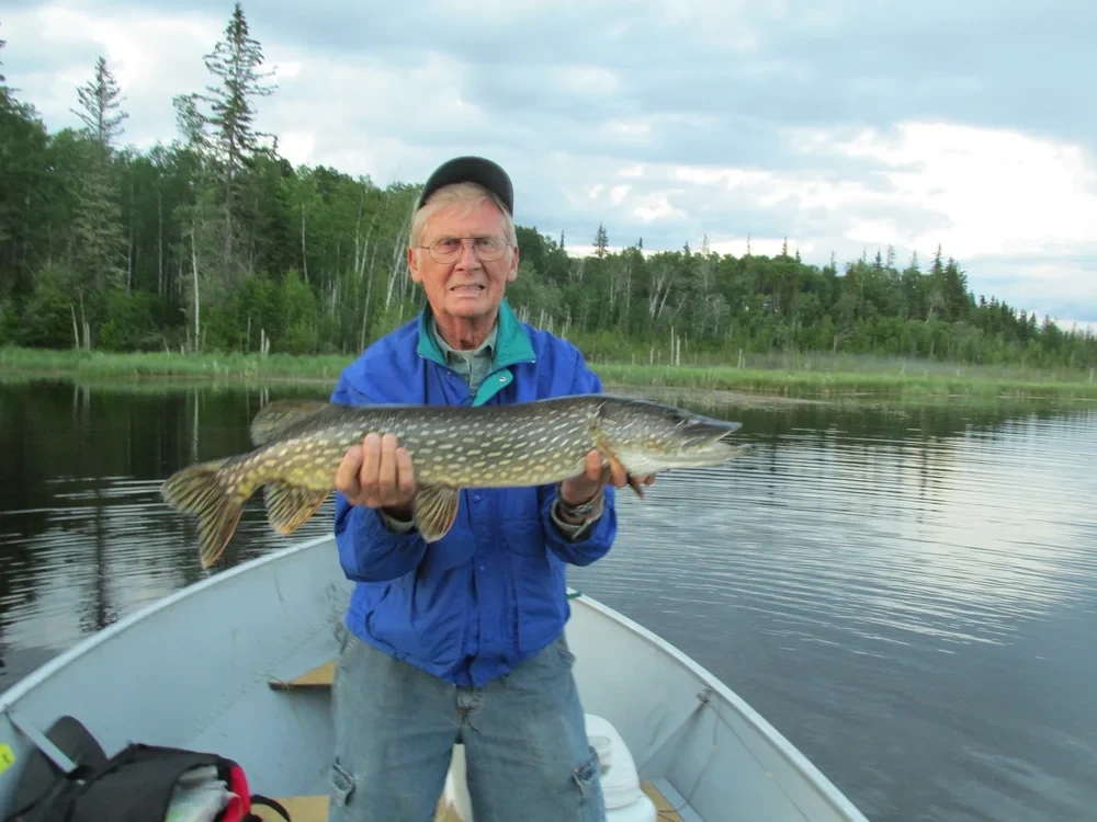 Man holding a trophy Northern Pike, wilderness lake backdrop