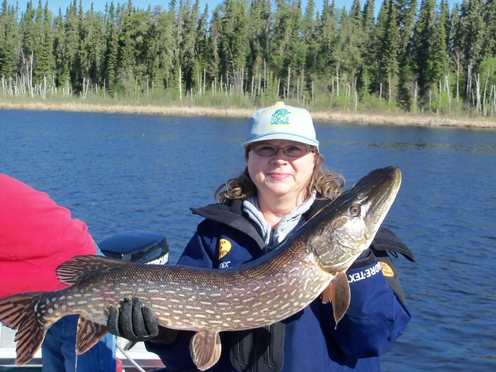 Man in camo shirt holding a big Northern Pike, bright blue sky and rocky shoreline