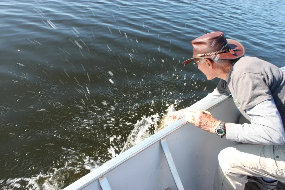 Fishing photo 84