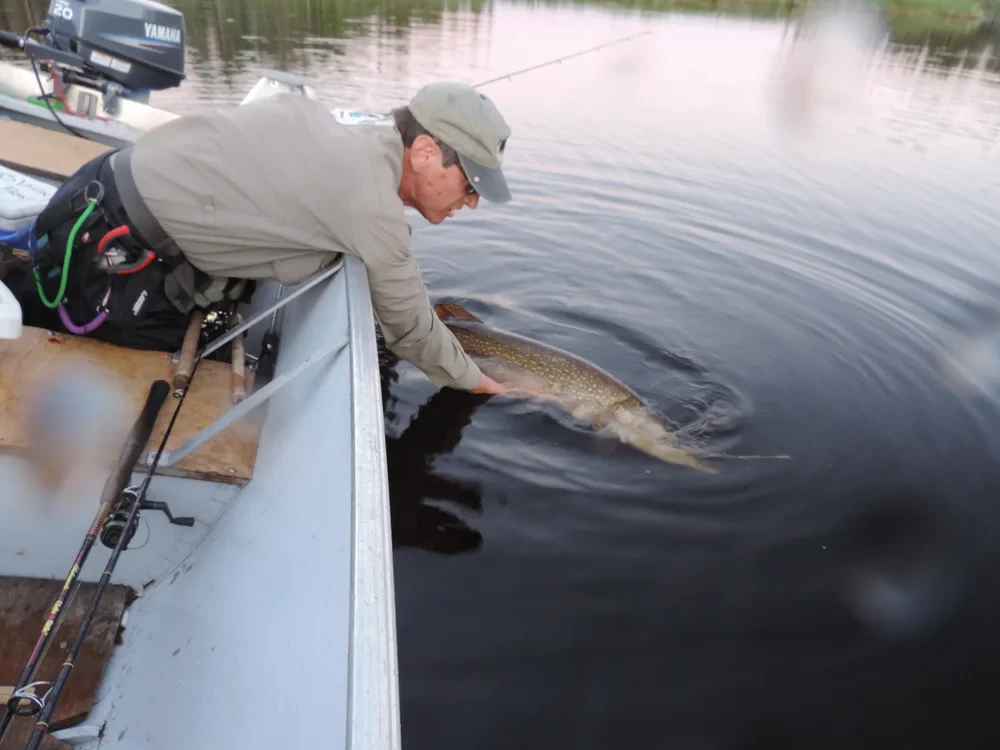 Fishing photo 88