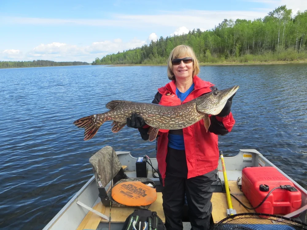 Woman in red jacket holding a large Northern Pike in a boat, beautiful blue sky