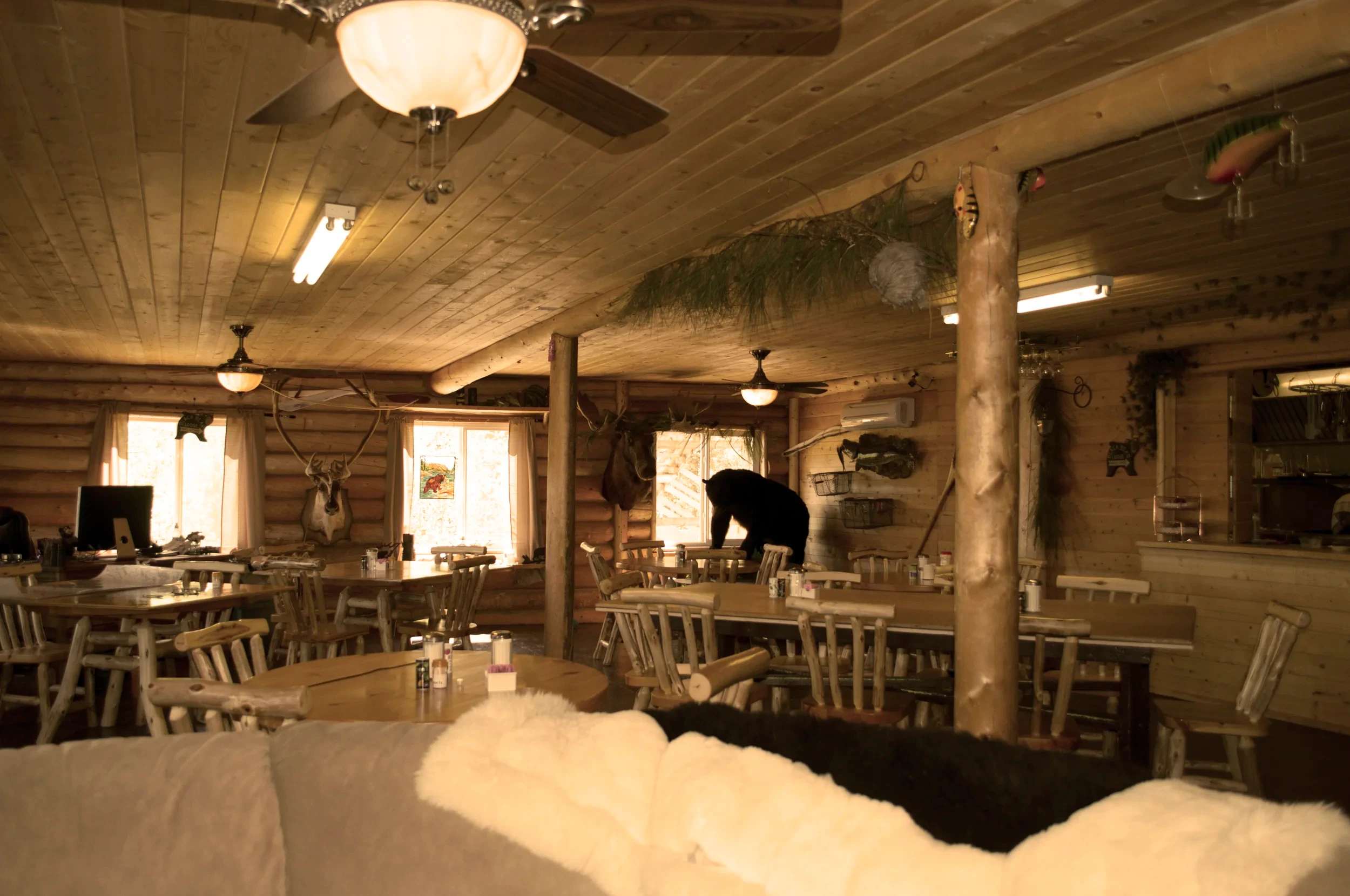 Black Bear Island Lodge main building