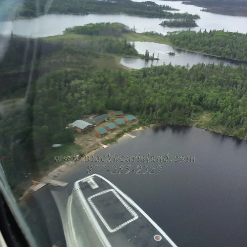 Aerial view of Black Bear Island Lodge from floatplane window, cabins and lake visible