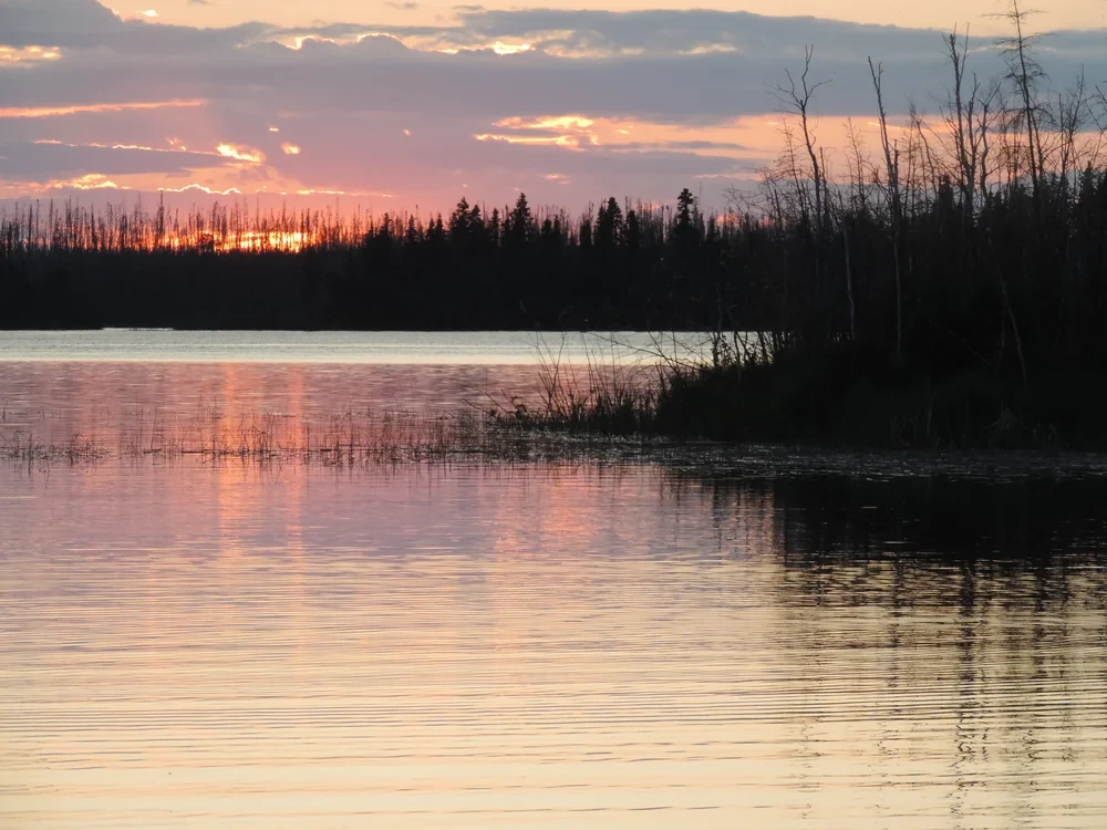 Sunset reflected on a calm lake with reeds and forest silhouette