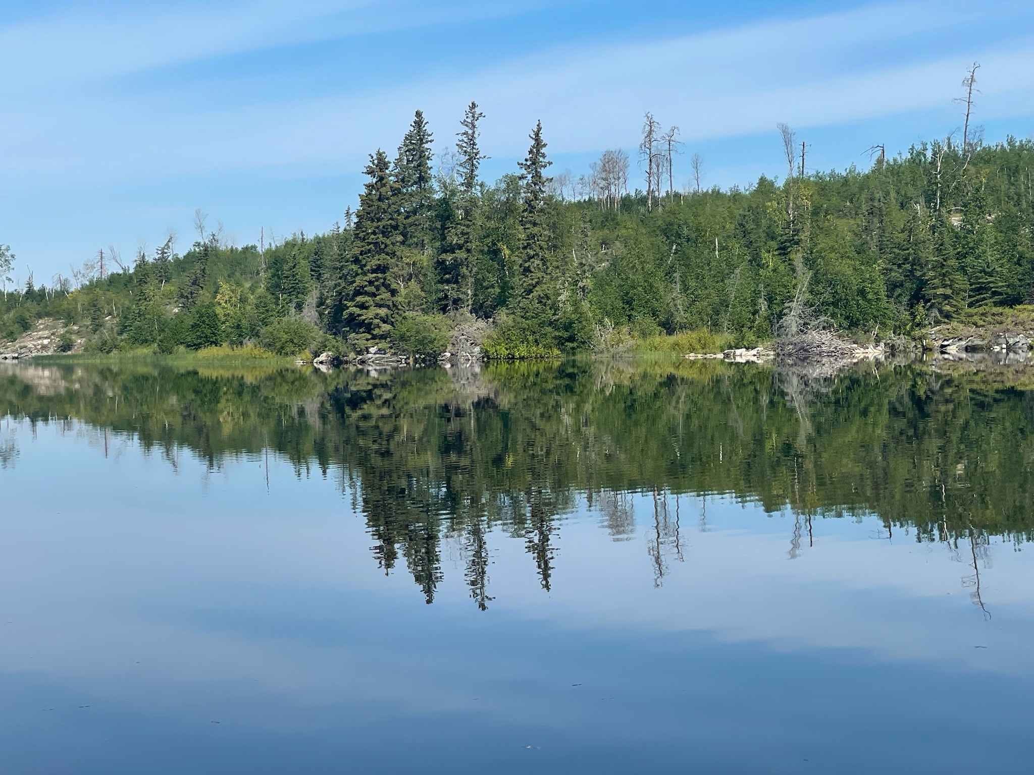 Forested shoreline perfectly reflected in glassy lake water