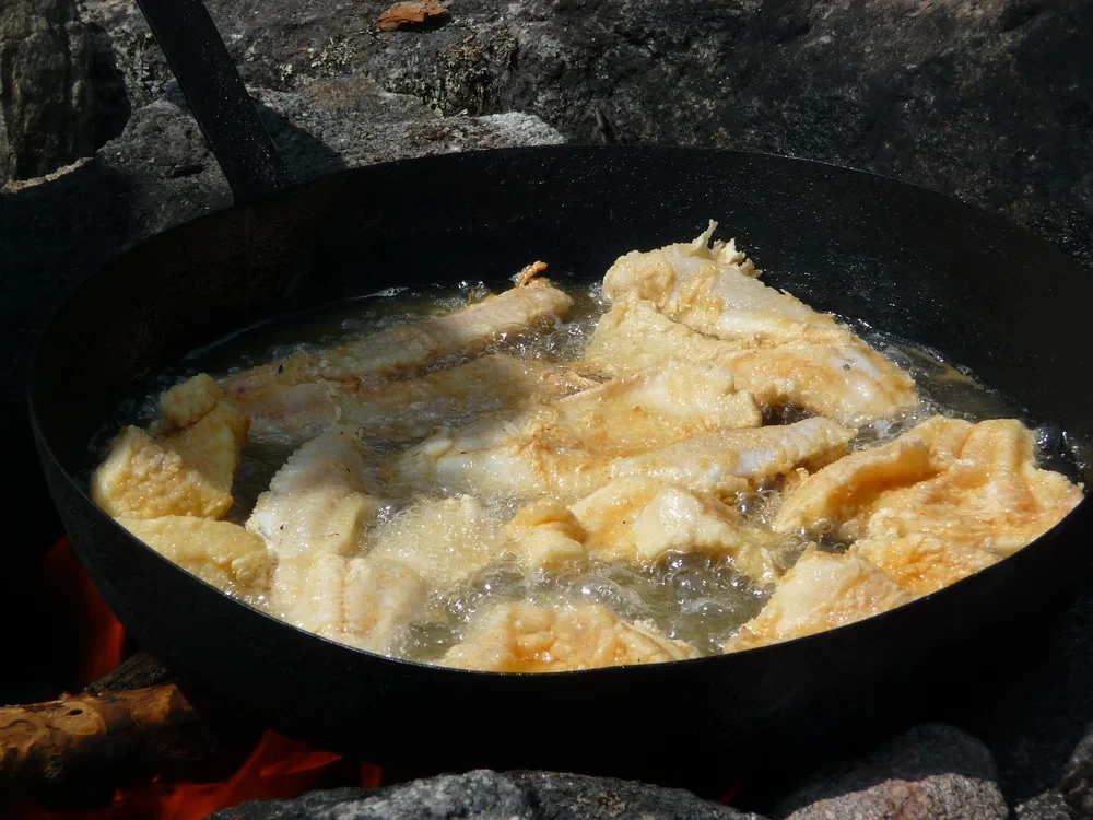 Shore lunch — fresh walleye fillets frying in a cast iron pan over an open fire