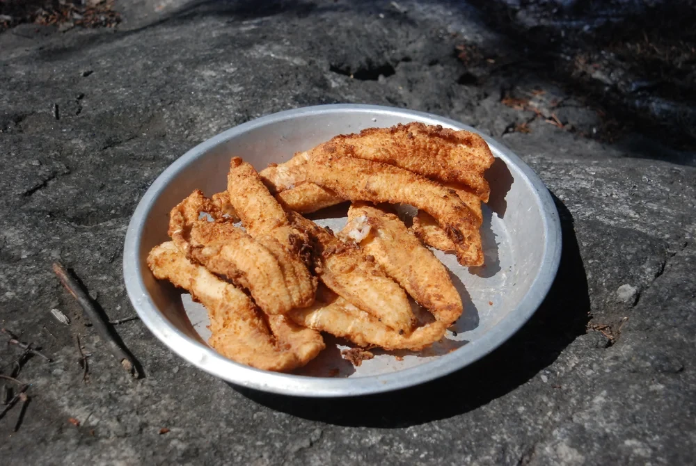 Shore lunch — crispy fried walleye fillets served on a tin plate on the rocks